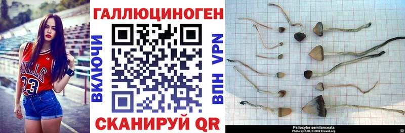 Псилоцибиновые грибы Psilocybine cubensis  купить наркотики цена  Солигалич 