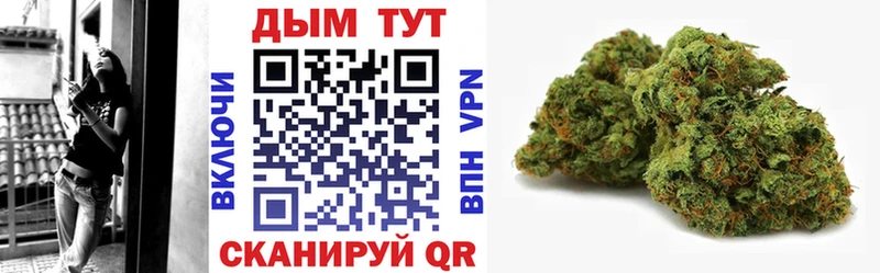 Конопля SATIVA & INDICA  MEGA онион  Солигалич 